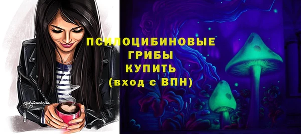 СК Алзамай
