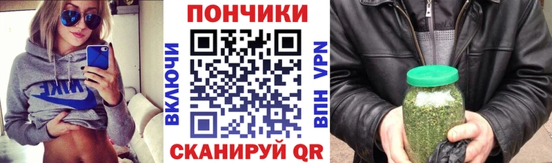 Конопля индика  Купить где  Крым 